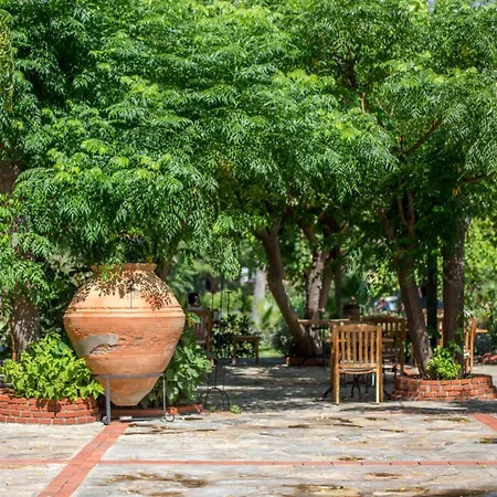 Maris トゥルンチュ