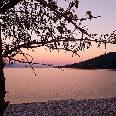 Otel Maris Turunç