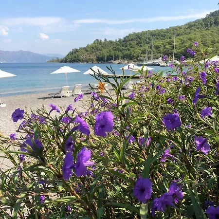 Maris Butik Hotel Turunc